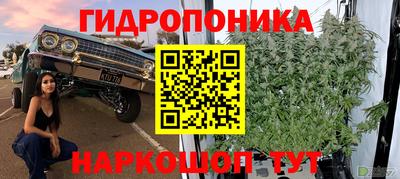 соль ск Чебаркуль