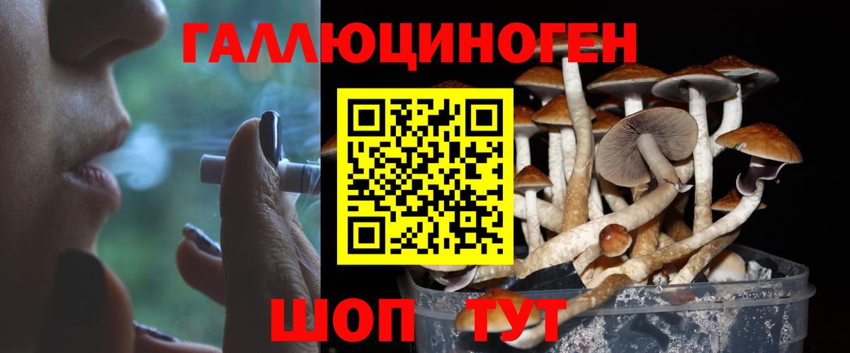 Галлюциногенные грибы мухоморы  Вход с VPN  купить закладку  Новозыбков 